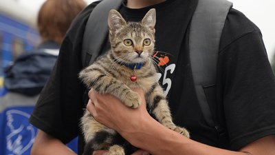 На Закарпаття прибув евакуаційний потяг з Дніпропетровської області