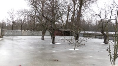 Пів метра води у погребах і відрізана одна з вулиць: як живе прикордонне село Мньов, що на Чернігівщині Пів метра води у погребах і відрізана одна з вулиць: як живе прикордонне село Мньов, що на Чернігівщині