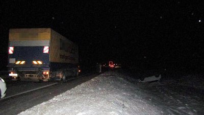 На Житомирщині нетверезий водій спричинив ДТП