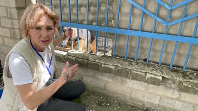 Катерина Литвинова, зооволонтерка, Херсон Катерина Литвинова, зооволонтерка, Херсон