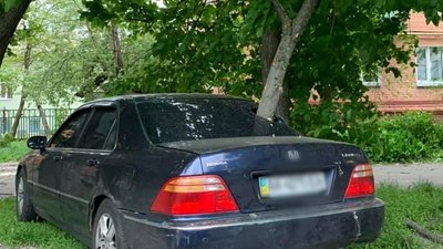 Через буревій у Чернігові впали дерева: пошкоджені автомобілі, травмованих немає