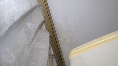 Затопило котячою сечею. Чернігівка подала до суду на сусідку та вимагає 25 тисяч гривень Затопило котячою сечею. Чернігівка подала до суду на сусідку та вимагає 25 тисяч гривень