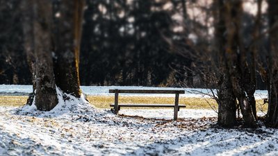У Дніпрі неплатники аліментів прибирають парки: на яких умовах