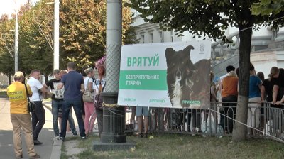 У Полтаві влаштували пікет під міськрадою – вимагали знайти домівку для безпритульних собак