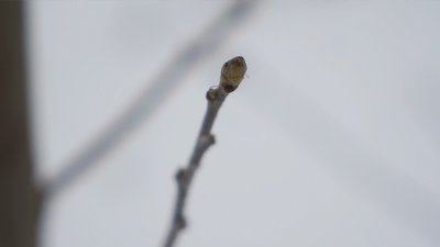 "Мені це подобається та приносить задоволення": історія лісівниці з Вінниччини "Мені це подобається та приносить задоволення": історія лісівниці з Вінниччини