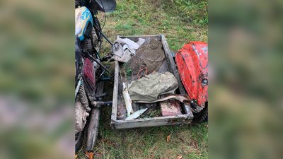 Заборонені сітки та дві щуки Заборонені сітки та дві щуки