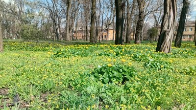 Краматорський парк 4 квітня 2026 року