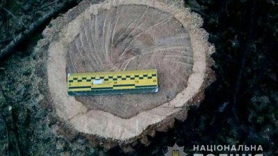На Черкащині поліцейські припинили незаконну вирубку деревини На Черкащині поліцейські припинили незаконну вирубку деревини