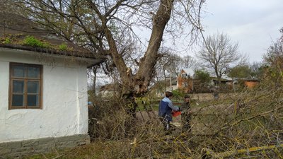 На Тернопільщині волонтери відновлюють родинну хату Бойчуків На Тернопільщині волонтери відновлюють родинну хату Бойчуків