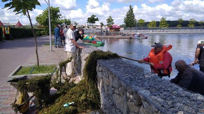 Тернопільський став чистять від водоростей