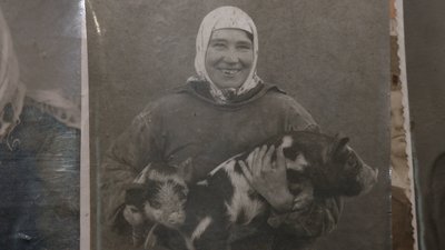 Жінка працювала свинаркою на колгоспній фермі Жінка працювала свинаркою на колгоспній фермі