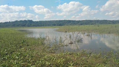 Фермерські господарства Львівщини постраждали від негоди Фермерські господарства Львівщини постраждали від негоди