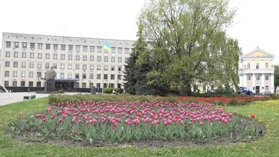У Житомирі планують висадити 90 тисяч однорічних рослин У Житомирі планують висадити 90 тисяч однорічних рослин