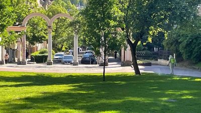 Акарицидна обробка у Стрийському парку