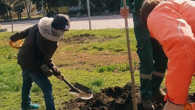 У Черкасах висадили алею на честь загиблих на сході України воїнів