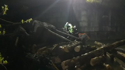 На Прикарпатті лісовоз перекинувся у річку. Загинули двоє людей На Прикарпатті лісовоз перекинувся у річку. Загинули двоє людей