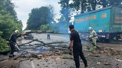 Рятувальники розчищають дорогу від повалених дерев у Шипинцях Чернівецької області