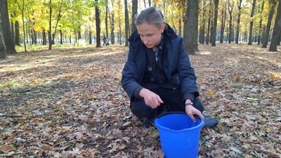 Миколаївці зібрали 50 кілограмів жолудів для тварин у зоопарку Миколаївці зібрали 50 кілограмів жолудів для тварин у зоопарку