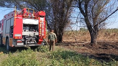 На Полтавщині горять торфи: від початку року виникло сім пожеж