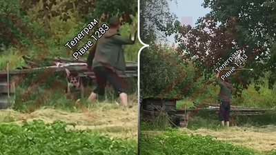 Бив пса палкою на відео: правоохоронці Рівненщини встановлюють особу чоловіка