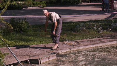 У Дніпрі загинуло 5 качок в озері у парку імені Лазаря Глоби У Дніпрі загинуло 5 качок в озері у парку імені Лазаря Глоби