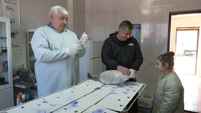 Сказ, вакцинація, Тернопіль, тварини, де вакцинувати тварину