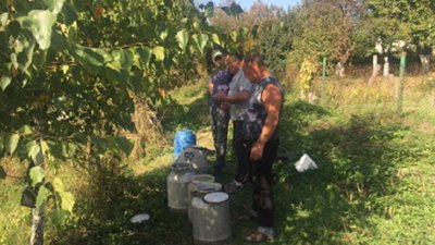 На Волині зарибнили коропом річку Омелянівка На Волині зарибнили коропом річку Омелянівка