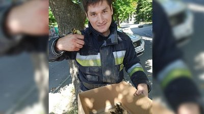 У центрі Дніпра рятувальники дістали з ливнівки п`ятьох каченят