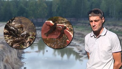 Викопав ставок для відеоблогу: житель Чернігівської області потрапив під суд