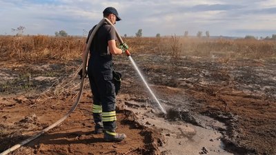 Горять торфовища на Чернігівщині: рятувальники погасили пожежу торфовищ на площі 55 га