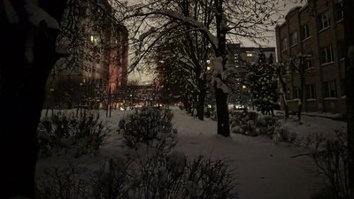 Погода на Тернопільщині, зима, сніг, 4 лютого 2026 року