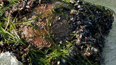Поблизу Чорноморська підірвали морську міну, яку не могли знешкодити через погоду