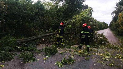 Наслідки негоди: понад сотня населених пунктів на Черкащині знеструмлені Наслідки негоди: понад сотня населених пунктів на Черкащині знеструмлені