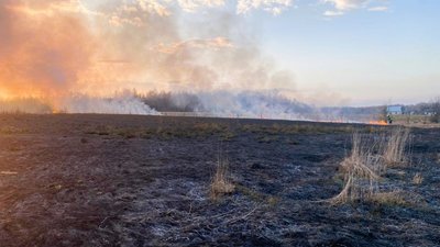 Випалена земля, пожежі, природа, екологія, суха трава, сухостій, ДСНС