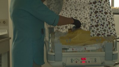 У Черкаському перинатальному центрі відзначили День передчасно народженої дитини У Черкаському перинатальному центрі відзначили День передчасно народженої дитини
