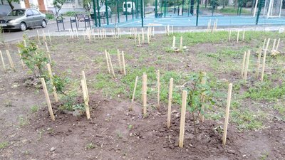 За 112 тисяч бюджетних коштів з району Миколаєва вивезуть гумові шини За 112 тисяч бюджетних коштів з району Миколаєва вивезуть гумові шини