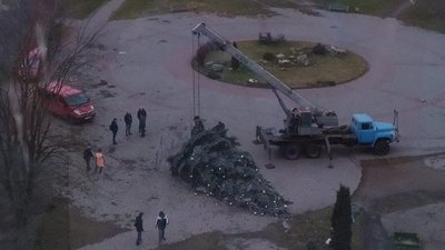 На Франківщині у Калуші вітер повалив ялинку