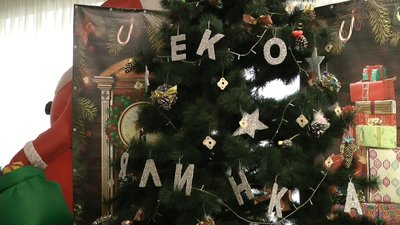 Акція «Запоріжжя в екоялинках» - вперше відбулася в Палаці культури «Титан»