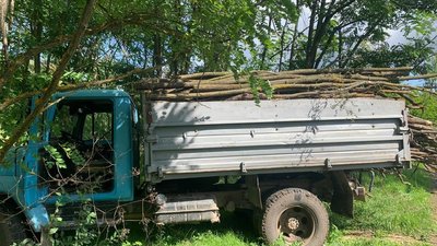 На Вінниччині чоловік вирубував дерева на території заповідної зони
