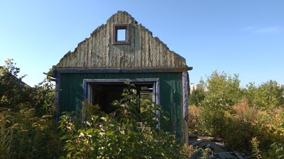 дачі, тернопіль, кооператив, дачний кооператив, дачі на тарнавського, пожежі