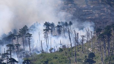 В окупованому Криму на чотири дні оголосили високу пожежонебезпеку