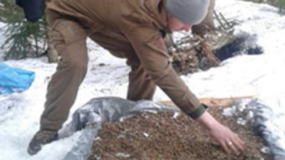 На Прикарпатті лісівники Ворохтянського лісгоспу готуються до весняної посадки На Прикарпатті лісівники Ворохтянського лісгоспу готуються до весняної посадки