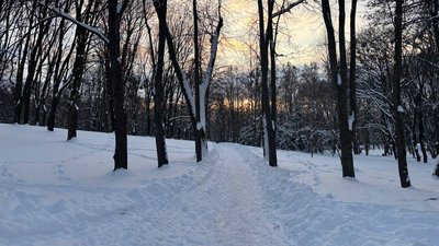 Погода на Рівненщині на 16 січня 2026 року