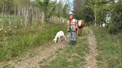 Без магазинів, шкіл та ФАПів. Як живуть люди у високогірному селі Без магазинів, шкіл та ФАПів. Як живуть люди у високогірному селі