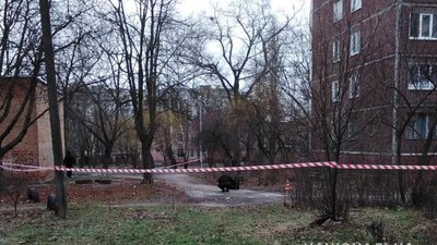 У Чернігові в кущах знайшли гранату часів Другої світової У Чернігові в кущах знайшли гранату часів Другої світової