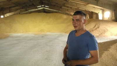У Житомирській області триває збір зернових – новий урожай немає де зберігати