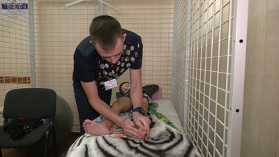У Рівному родини переселенців, в яких є діти з інвалідністю та труднощами розвитку отримують реабілітацію та допомогу У Рівному родини переселенців, в яких є діти з інвалідністю та труднощами розвитку отримують реабілітацію та допомогу