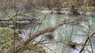 Сміттєві затори в межах природоохоронної зони на Боржаві розчищатимуть вручну Сміттєві затори в межах природоохоронної зони на Боржаві розчищатимуть вручну