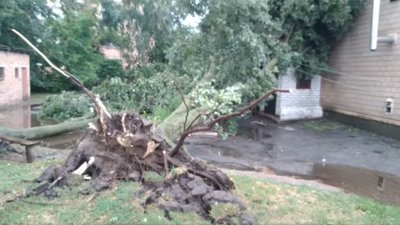 Повалені дерева та вежа мобільного зв'язку: на Черкащині через грозу знеструмлені кілька сіл Повалені дерева та вежа мобільного зв'язку: на Черкащині через грозу знеструмлені кілька сіл