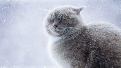 Мокрий сніг та ожеледиця. Якою буде погода на Одещині у наступні дні